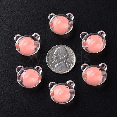 Transparent Acrylic Beads MACR-S373-122-B01-1