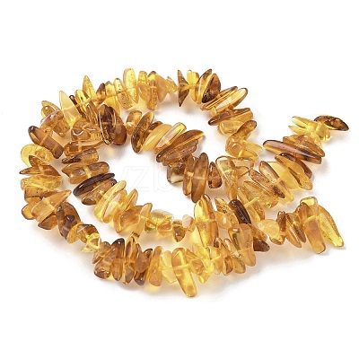 Natural Amber Beads Strands G-L095-D01-07-1