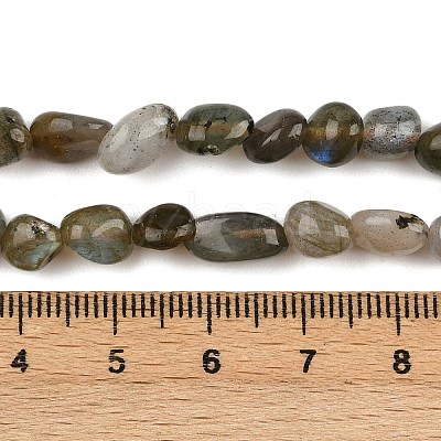 Natural Labradorite Beads Strands G-C250-03-1
