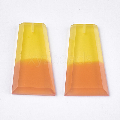 Resin Beads CRES-T014-17E-1