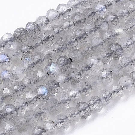 Natural Labradorite Beads Strands G-R462-019-1
