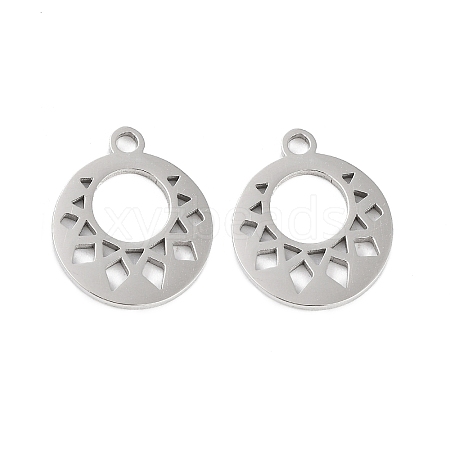 316 Surgical Stainless Steel Charms STAS-C096-11C-P-1