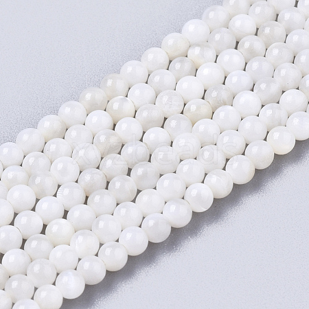 Natural Freshwater Shell Beads Strands BSHE-T009-01F-1