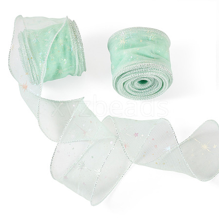 Polyester Deco Mesh Ribbons OCOR-TAC0024-004G-1
