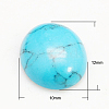 Gemstone Cabochons G-H1596-12x10x4mm-17-1