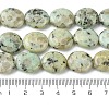 Natural Sesame Jasper Beads Strands G-K365-B16-03-5