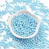 Baking Paint Glass Seed Beads SEED-A032-02L-2