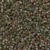 MIYUKI Delica Beads X-SEED-J020-DB0133-3