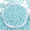 Opaque Colours Luster Glass Seed Beads SEED-K010-04E-3