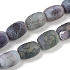 Natural Weathered Agate Beads Strands G-NH0047-B03-02-2