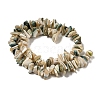 Natural Seashell Shell Beads Strands SSHEL-H072-07-2