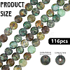 2 Strands Frosted Natural African Turquoise(Jasper) Round Beads Strands G-PA0001-33-2