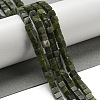 Natural Peridot Beads Strands G-C129-A04-01-2