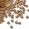 Transparent Stripe Glass Seed Beads LS-GLAA-NH0001-06F-1