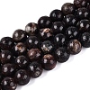 Natural Biotite Beads Strands G-Q616-01C-2