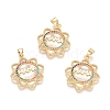 Brass Micro Pave Cubic Zirconia Pendants ZIRC-G152-34G-1