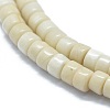 Natural Fossil Beads Strands G-F631-A19-3