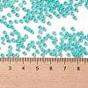 TOHO Round Seed Beads X-SEED-TR08-0920-4