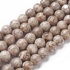 Natural Fossil Coral Beads Strands G-F563-02-8mm-1