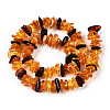 Natural Amber Beads Strands G-T138-235E-2