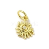 Brass Micro Pave Cubic Zirconia Charms KK-M283-23E-01-1