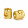 Alloy Hollow Pendant Beads PALLOY-P242-01MG-C-3