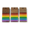 Pride Rainbow Theme Resin & Walnut Wood Pendants WOOD-K012-06B-1