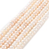 Natural Cultured Freshwater Pearl Beads Strands PEAR-I007-02E-02B-2