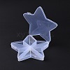 10 Grids Transparent Plastic Box LS-CON-B009-06-4