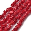 Natural Freshwater Shell Beads SHEL-B003-01C-1