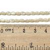 Natural Trochus Shell Beads Strands SSHEL-H072-02B-4