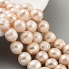 Natural Cultured Freshwater Pearl Beads Strands PEAR-C003-21D-2