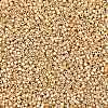 MIYUKI Delica Beads SEED-MY11-DB2501-2