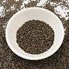 MIYUKI Delica Beads SEED-X0054-DB0022-2