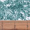 MIYUKI Delica Beads X-SEED-J020-DB1208-4
