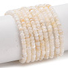 Natural Freshwater Shell Beads Strands SHEL-P017-01A-02-1