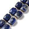 Natural Lapis Lazuli Beads Strands G-H061-A07-01-1