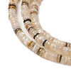 Natural Black Lip Shell Beads Strands SHEL-P017-03-3