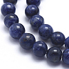 Natural Sodalite Beads Strands G-K224-01-10mm-3