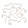 304 Stainless Steel Earring Hooks STAS-S111-005RG-NR-3