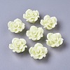 Resin Beads RESI-B3244-A17-2