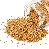 MIYUKI Delica Beads X-SEED-J020-DB2303-1