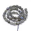 Natural Labradorite Beads Strands G-Q952-12-6x8-2