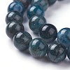 Natural Apatite Beads Strands G-F627-07-D-3