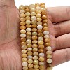 Natural Topaz Jade Beads Strands G-Z111-A06-01-2