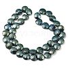 Electroplated Natural Lava Rock Beads Strands G-K388-01H-3