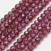 Natural Garnet Beads Strands G-K182-2mm-10-1