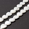 Natural Trochid Shell/Trochus Shell Beads SSHEL-O001-27D-4