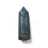 Natural Apatite Display Decoration G-E137-01C-2