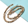 Natural Picture Jasper Beads Strands G-G085-B20-02-2